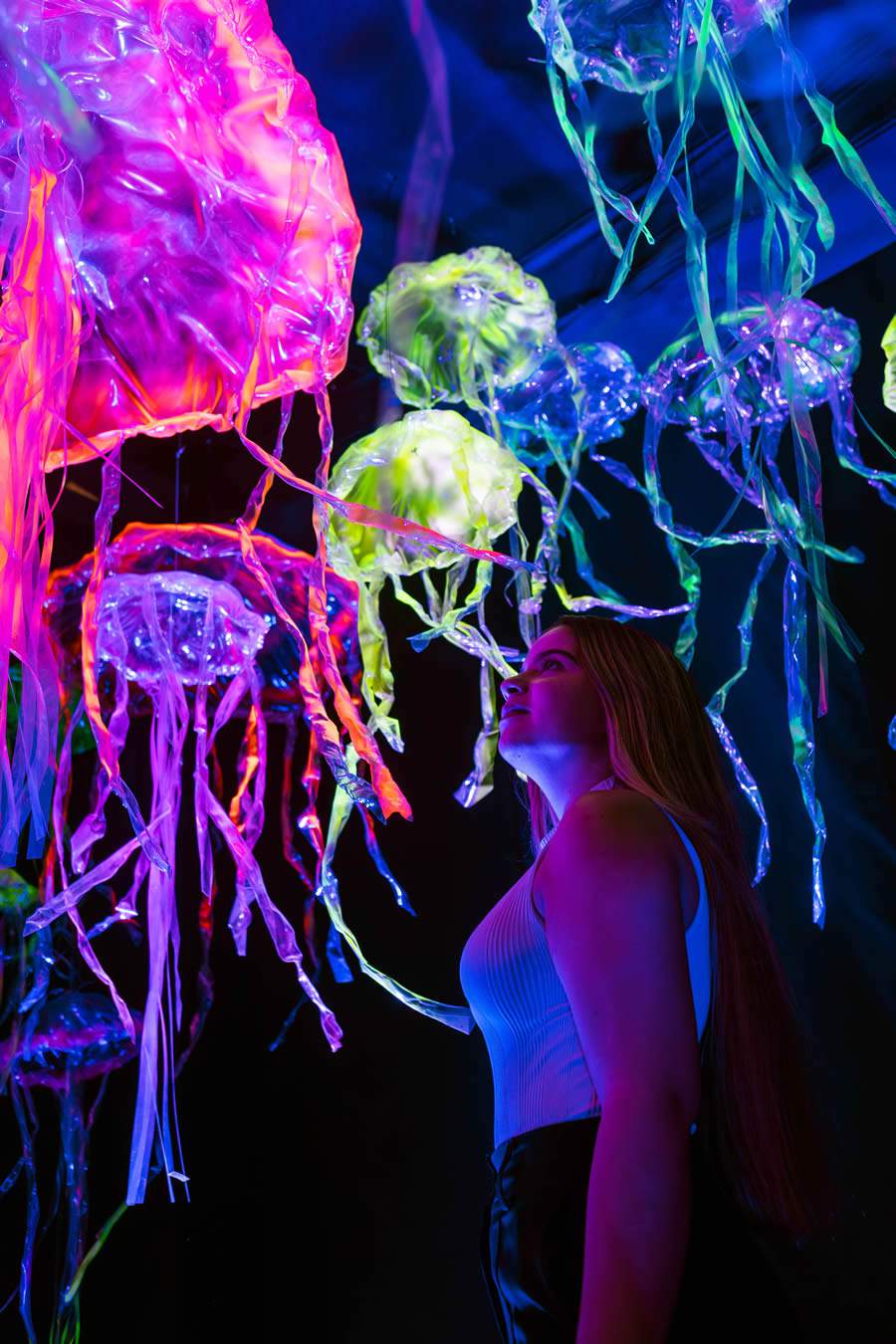 Crédito Nicole Rodrigues