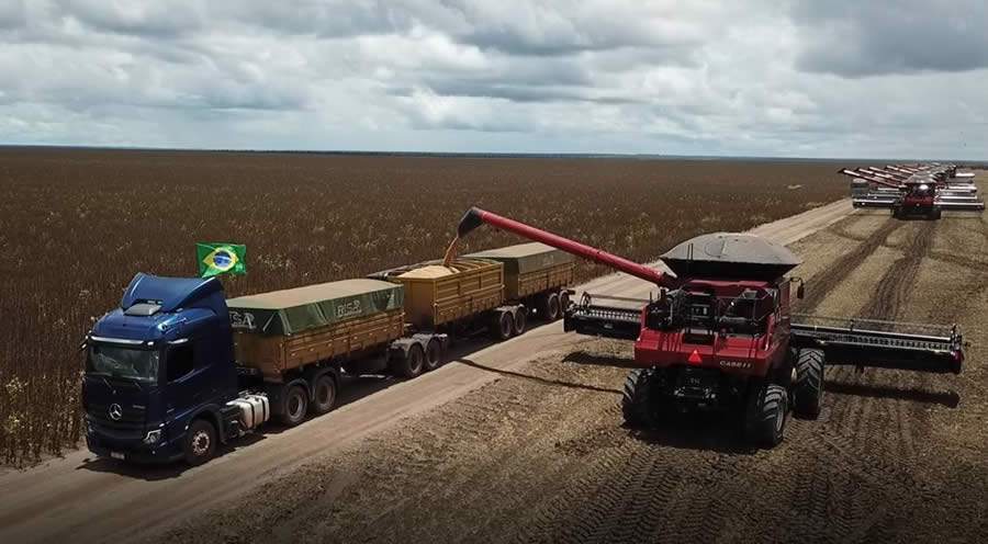 50 caminh&otilde;es Actros participam do in&iacute;cio da colheita de soja do Grupo RISA no Piau&iacute;