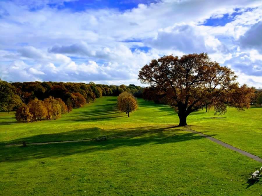 Crédito: divulgação