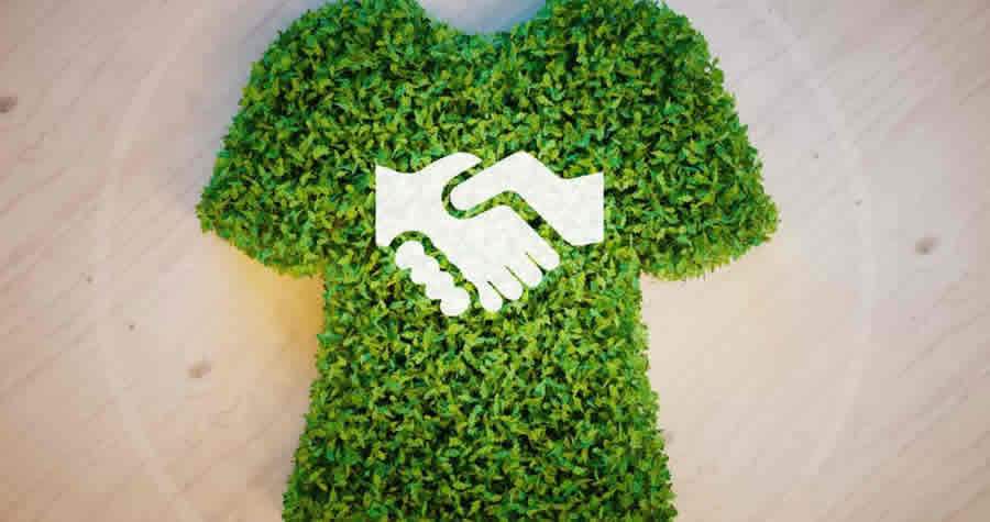 Divulga&ccedil;&atilde;o