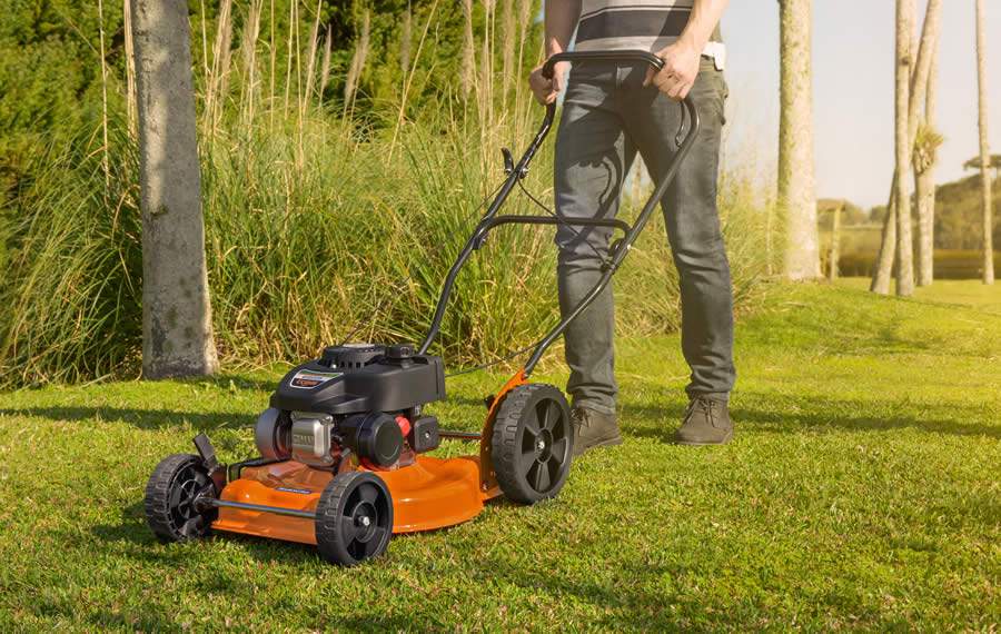 Prepare o jardim para a chegada da primavera