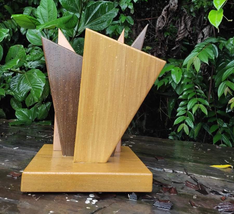 Trof&eacute;u de madeira certificada FSC - Copa Verde 2021