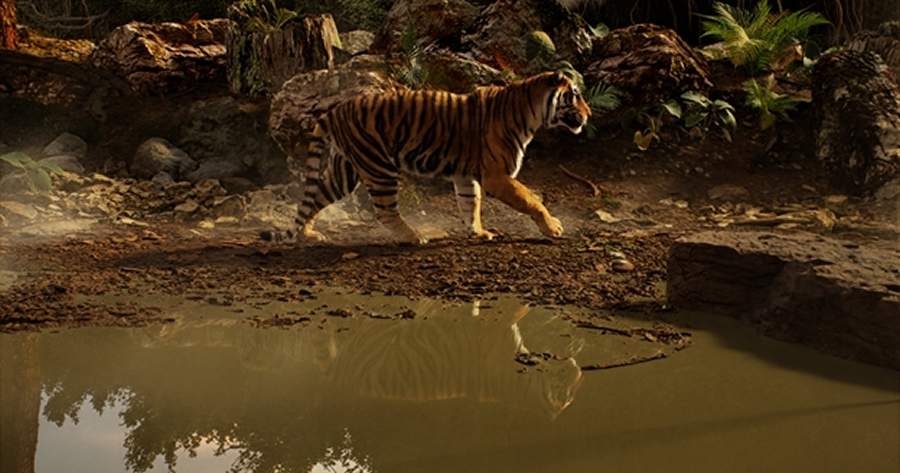 Divulga&ccedil;&atilde;o