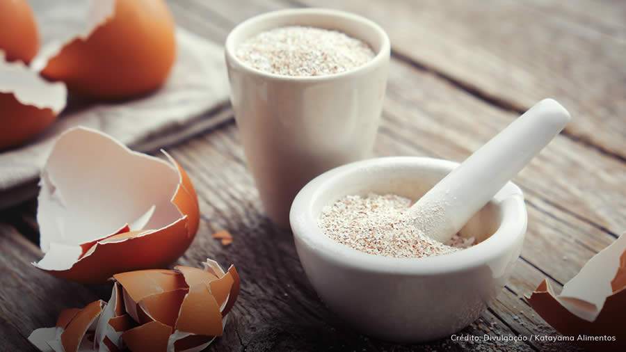 Casca do ovo &eacute; rica em nutrientes e possibilita importantes aplica&ccedil;&otilde;es na ind&uacute;stria