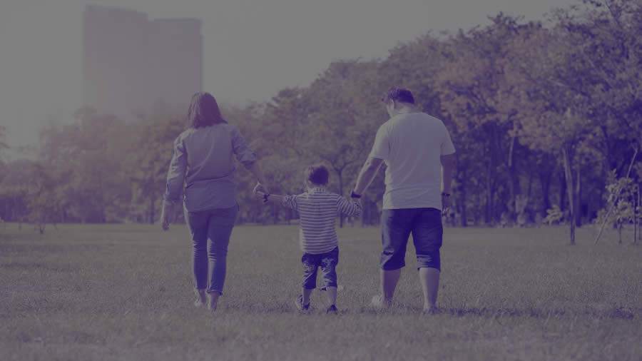 Impactos do coronav&iacute;rus no seguro de vida &eacute; tema de live do Sincor-SP