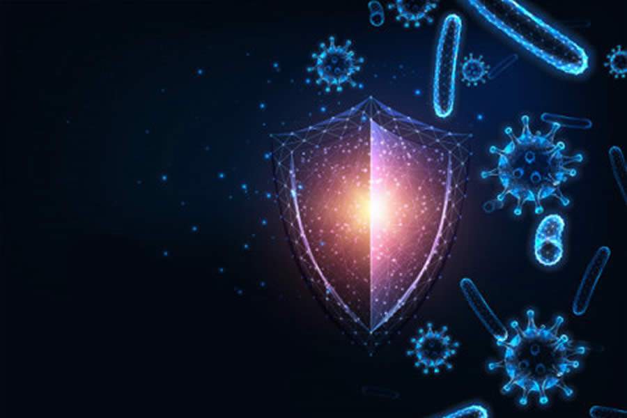 Gen&eacute;tica e estilo de vida t&ecirc;m influ&ecirc;ncia na imunidade, mas boa alimenta&ccedil;&atilde;o tamb&eacute;m &eacute; fundamental