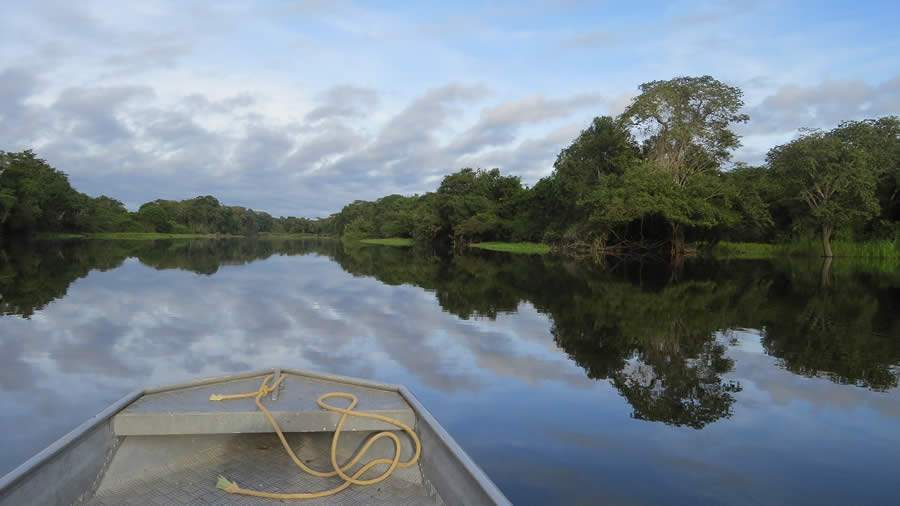 Rio Guaporé banha os estados de Rondônia e Mato Grosso - deltreehd/Pixabay