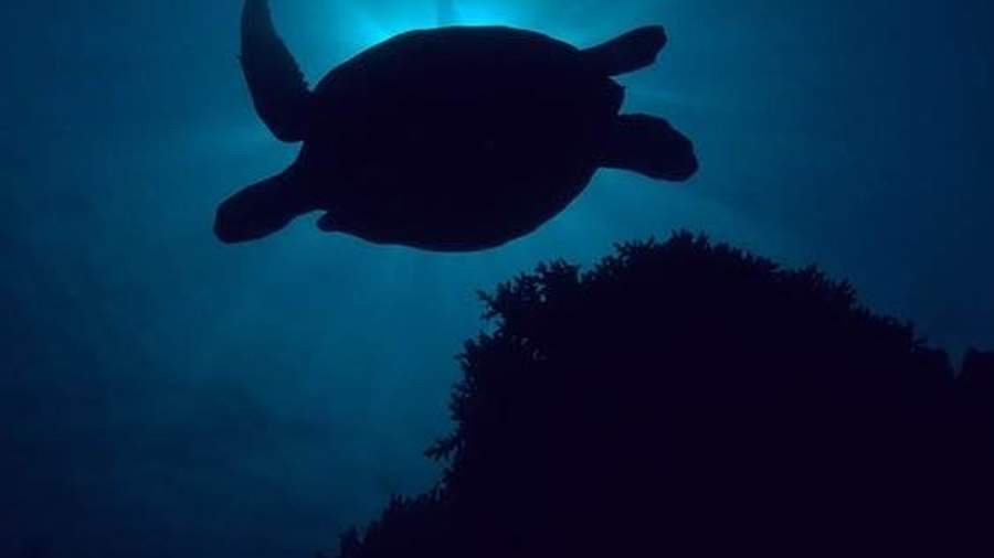 O prop&oacute;sito da linha Galaxy na inova&ccedil;&atilde;o das redes de pesca descartadas