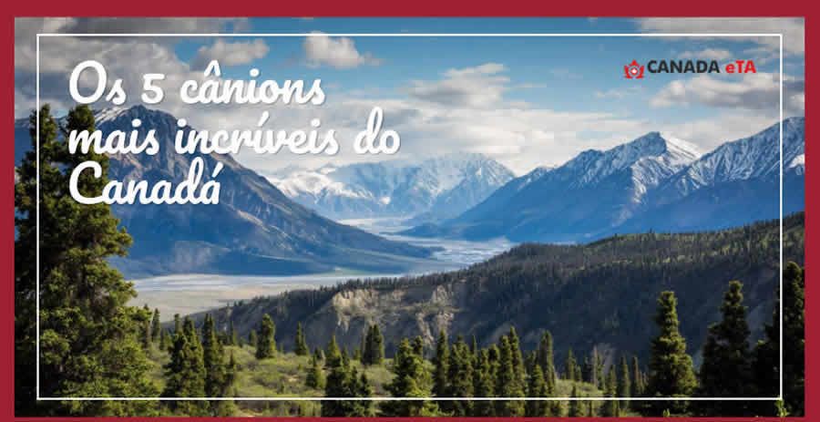 Infogr&aacute;fico Os 5 c&acirc;nions mais incr&iacute;veis do Canad&aacute;