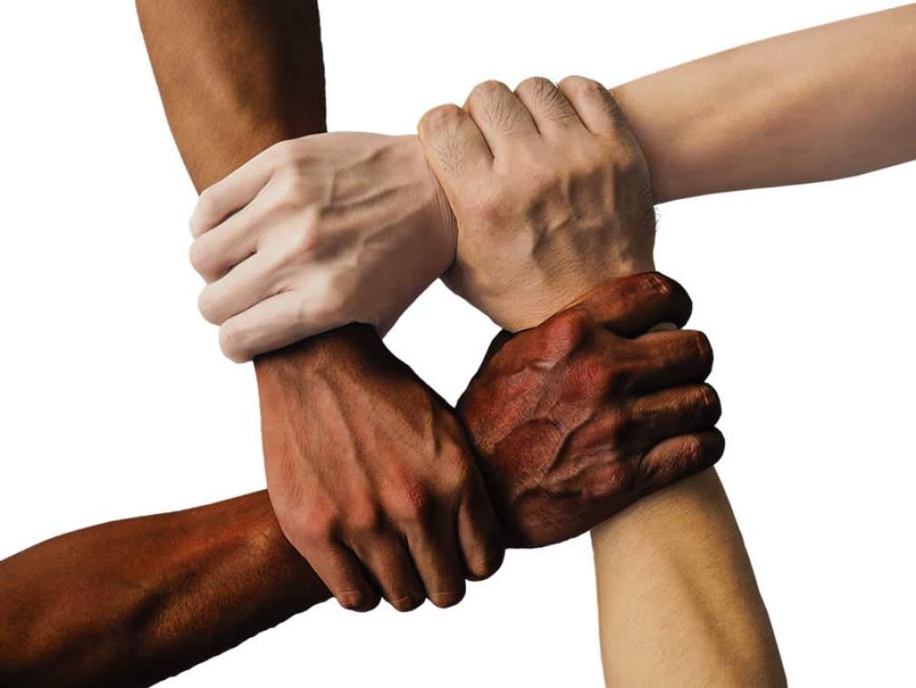 Apostando na diversidade, Elanco abre seu Programa de Estágios 2020
