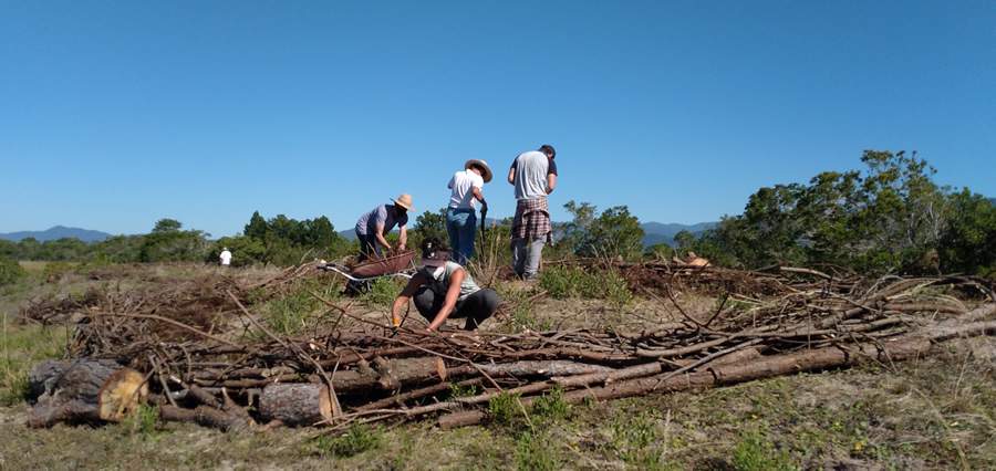 ESG: Projeto da Cottonbaby restaura Parque Estadual da Serra do Tabuleiro ap&oacute;s inc&ecirc;ndio