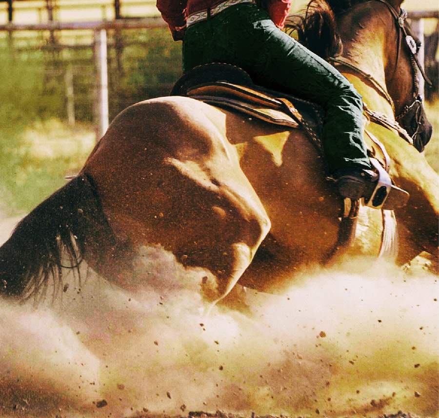 Vetnil-Suplementacao-estrategica-prevencao-da-fadiga-muscular-em-cavalos-atletas-Foto-Vetnil