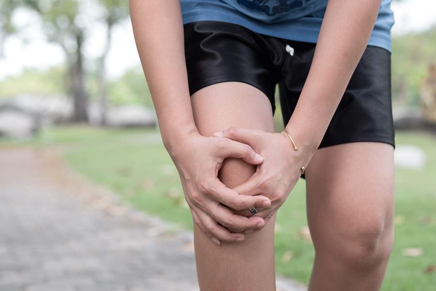  Arttrose - Divulgação