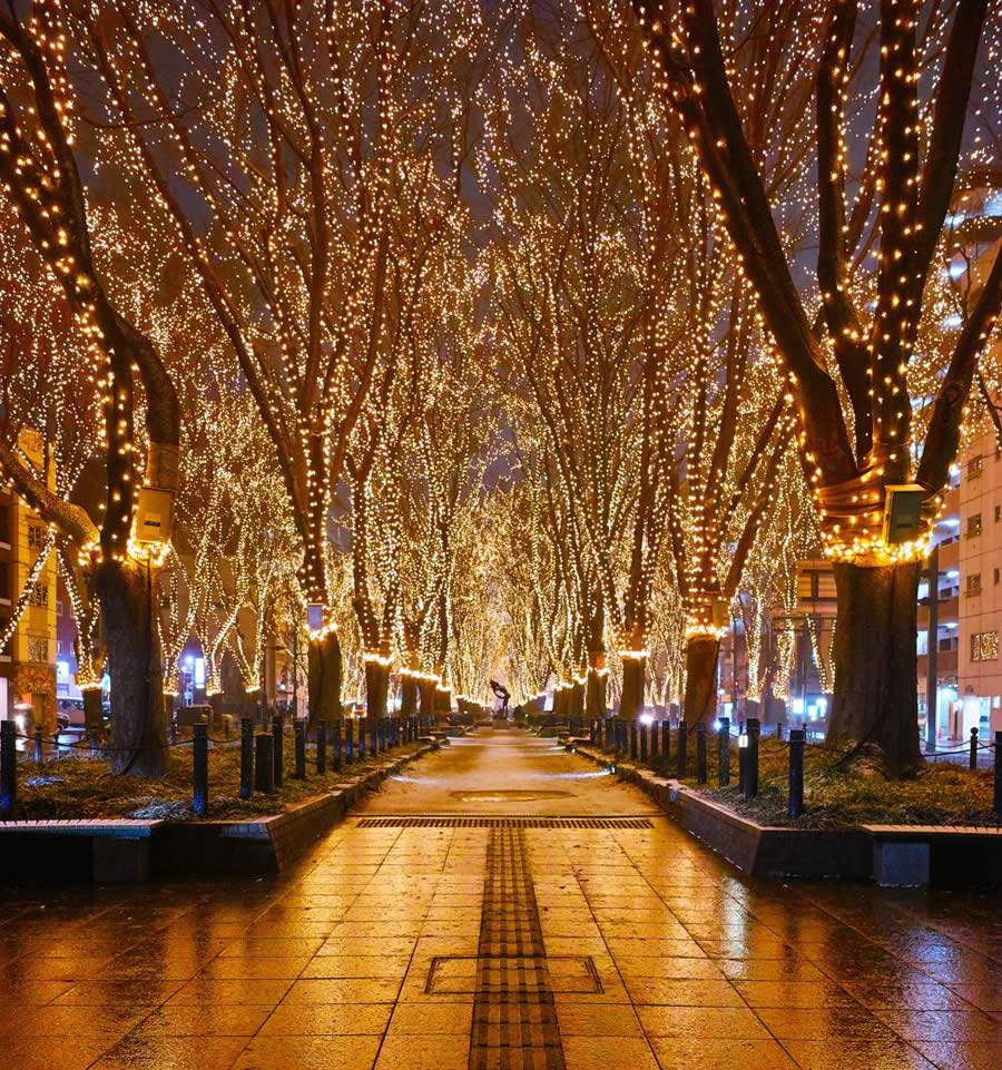 O Espetáculo da Luz das Estrelas de Sendai é reconhecido em todo o país como uma das iluminações de inverno mais espetaculares do Japão - Divulgação