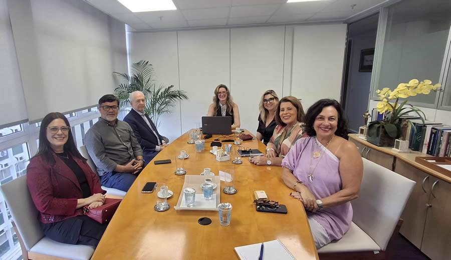 Da esquerda para a direita, começando pela ponta da mesa: Sonia Marra, presidente do CVG-RJ; Gilmar Pires, ex-vice-presidente do SindSeg-RJ-ES; Ronaldo Vilela, diretor-executivo do SindSeg-RJ-ES; Taiana Jung, confundadora da Logos Consultoria; Dayse Magesti, diretora administrativa do CCS-RJ; Fátima Monteiro, presidente do CCS-RJ e Andréa Carvalho, CEO da empresa Papel Semente- Foto: Divulgação