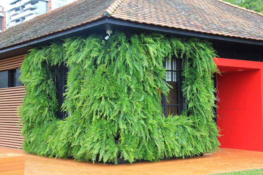 Veja os benef&iacute;cios do jardim vertical em uma biblioteca p&uacute;blica