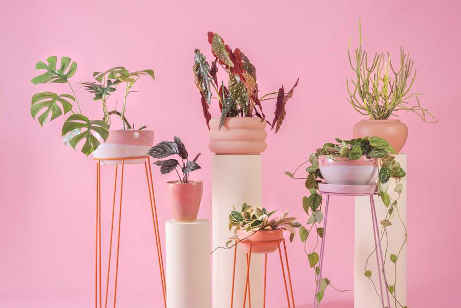 Studio_Lily)colecao_Nusa_2