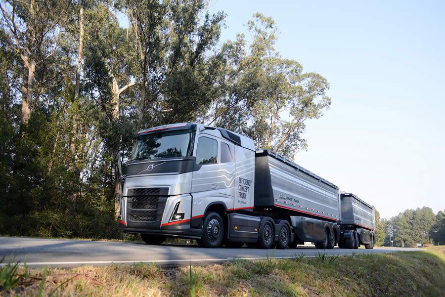 Divulga&ccedil;&atilde;o