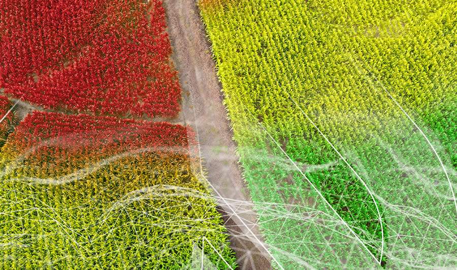 Como utilizar a agricultura de precisão a seu favor