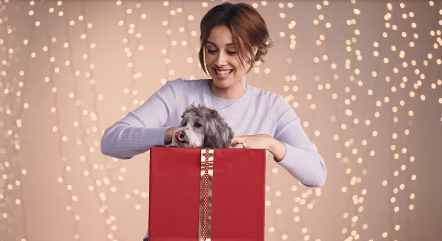 Crédito Divulgação