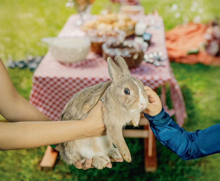   P&aacute;scoa no Clara Resorts - Divulga&ccedil;&atilde;o: Clara Resorts