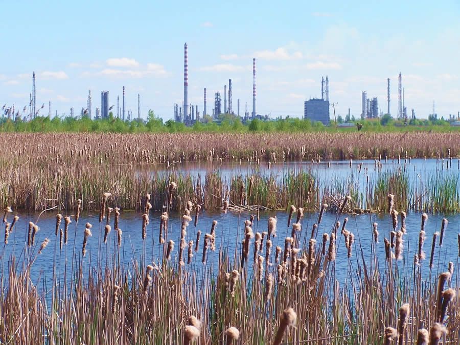 A AIG Seguros tem experi&ecirc;ncia global, fa&ccedil;a o seu seguro Garantia com quem tem capacidade