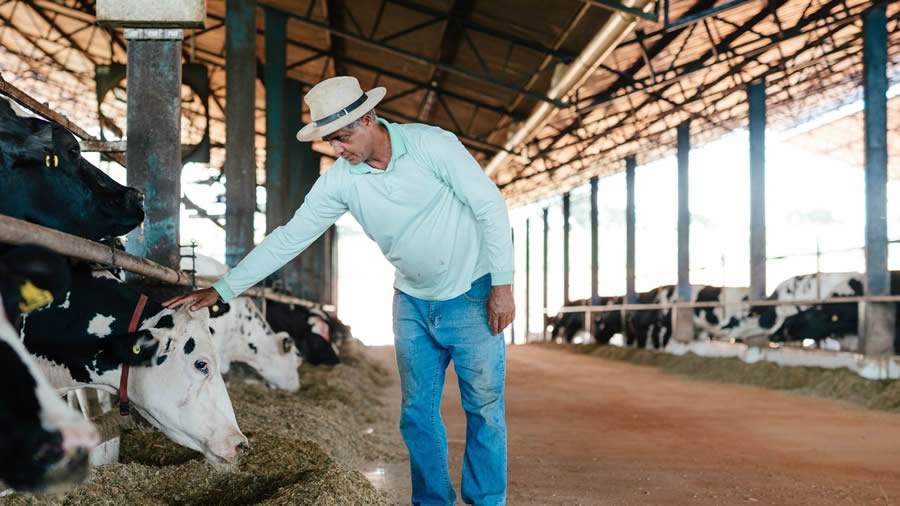 A Nestl&eacute; &eacute; pioneira na implementa&ccedil;&atilde;o de pr&aacute;ticas de bem-estar animal a campo e tem refor&ccedil;ado seu foco no assunto anualmente - Divulga&ccedil;&atilde;o Nestl&eacute;