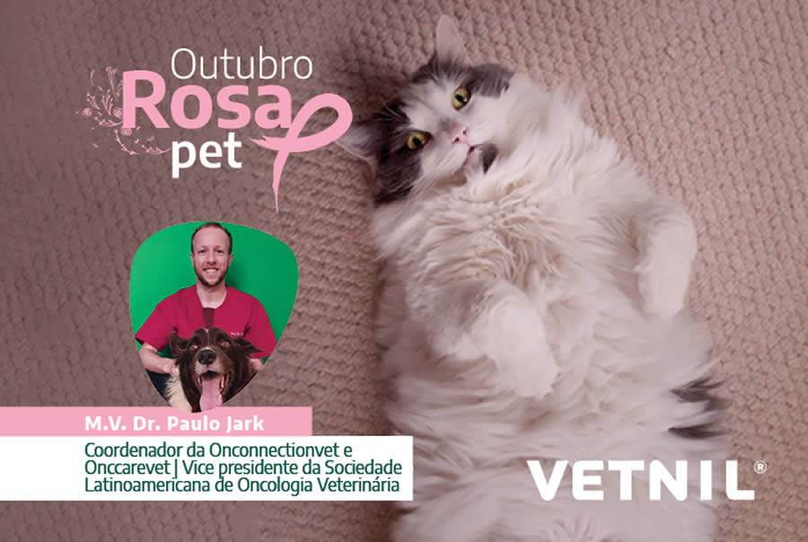 No outubro Rosa, Vetnil lan&ccedil;a s&eacute;rie de v&iacute;deos sobre preven&ccedil;&atilde;o do c&acirc;ncer de mama em Pets
