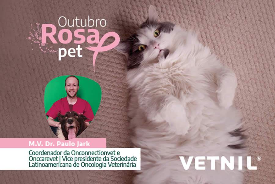 No outubro Rosa, Vetnil lança série de vídeos sobre prevenção do câncer de mama em Pets