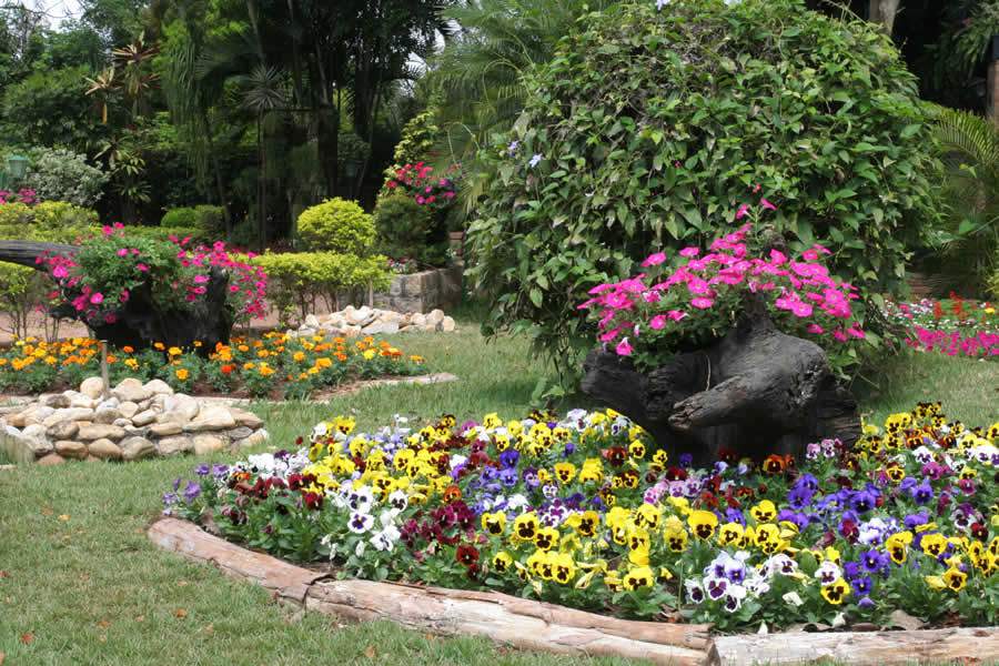 Divulga&ccedil;&atilde;o