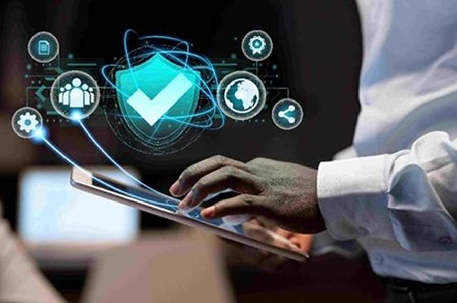 Expansão conjunta: Provider IT investe na Qlickseguros e inova no mercado de seguros