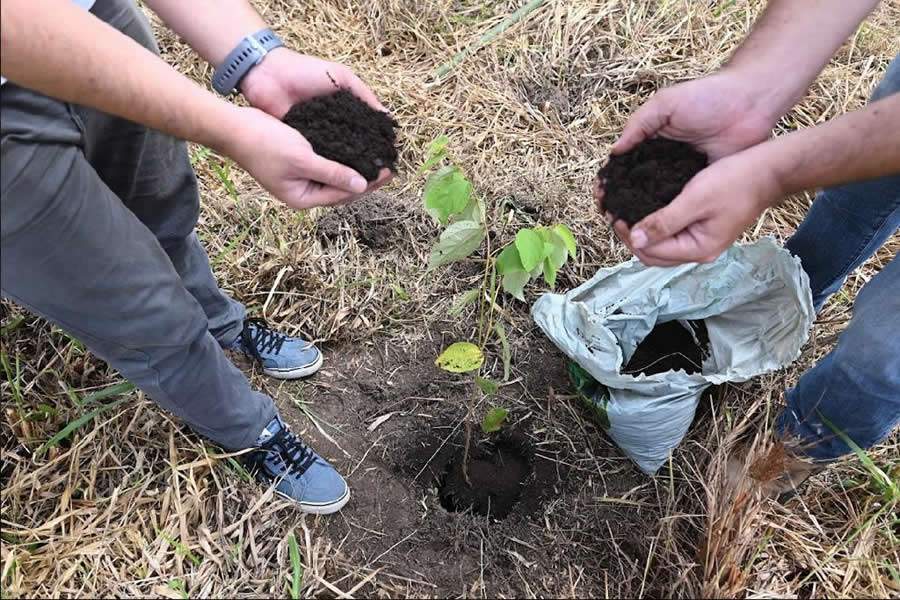 Aumento na conscientiza&ccedil;&atilde;o das empresas faz neutraliza&ccedil;&atilde;o de gases do efeito estufa avan&ccedil;ar