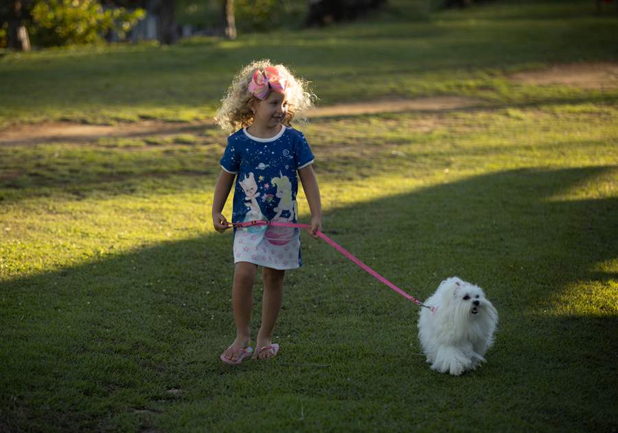Divulga&ccedil;&atilde;o - Cana Brava
