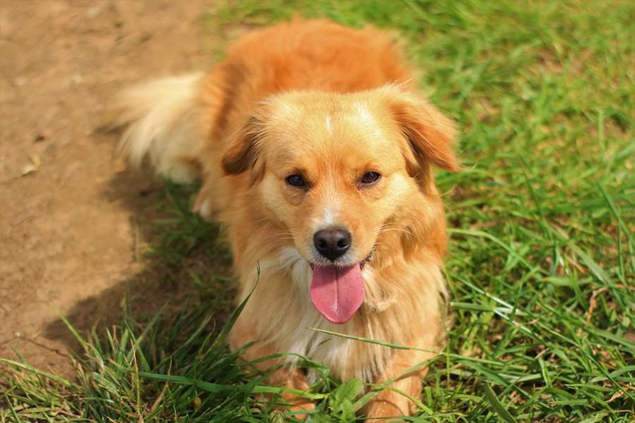 Cr&eacute;dito: pixabay.com_CC0 Creative Commons