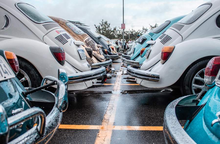 Exposi&ccedil;&atilde;o, feira de ado&ccedil;&atilde;o de animais e clima natalino invadem Itabora&iacute; em novembro