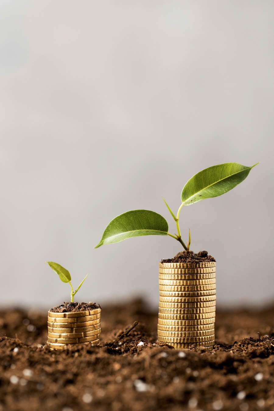 BB Previd&ecirc;ncia bate meta de rentabilidade e alcan&ccedil;a 9,03% em doze meses