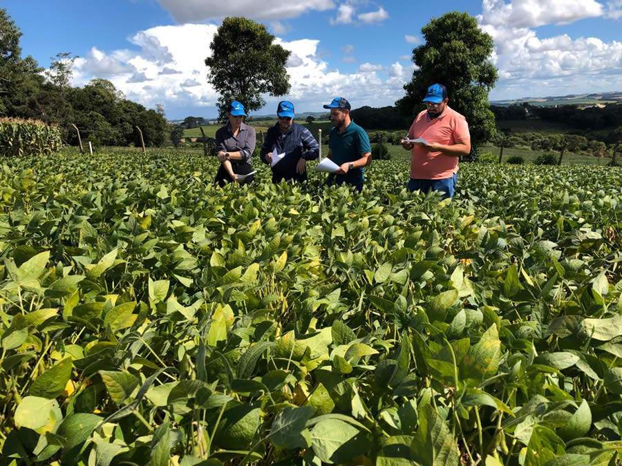 Ensaios a campo com Reconil realizados na região de Passo Fundo-RS