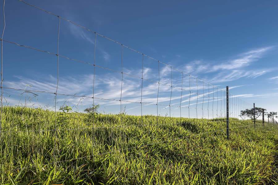Cercas prontas oferecem mais prote&ccedil;&atilde;o aos bovinos e melhor custo-benef&iacute;cio e atraem pecuaristas que investem na integra&ccedil;&atilde;o lavoura-pecu&aacute;ria