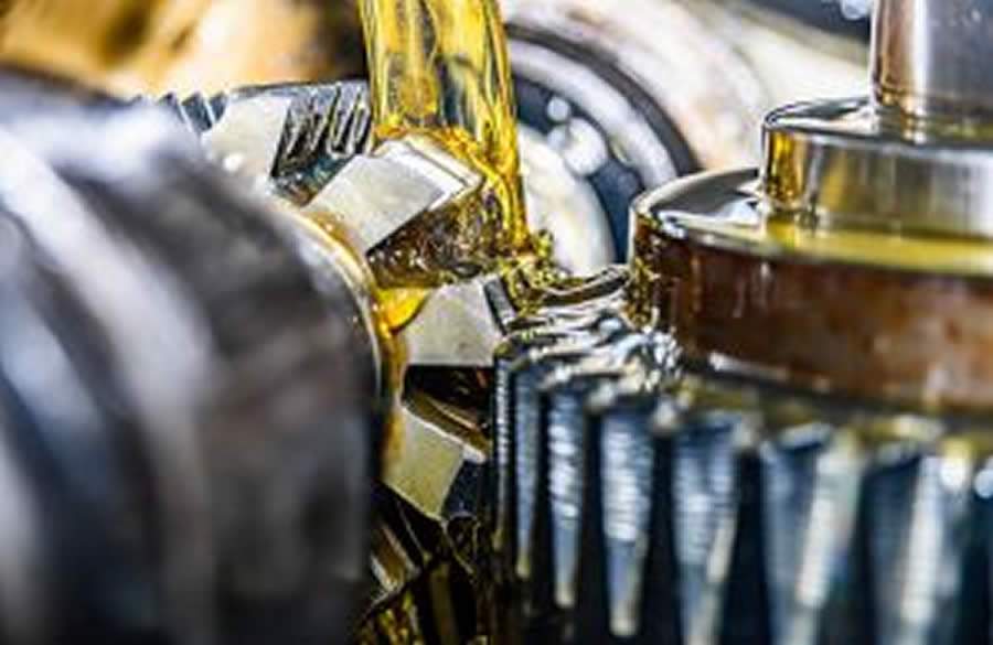 Credito : Divulgação