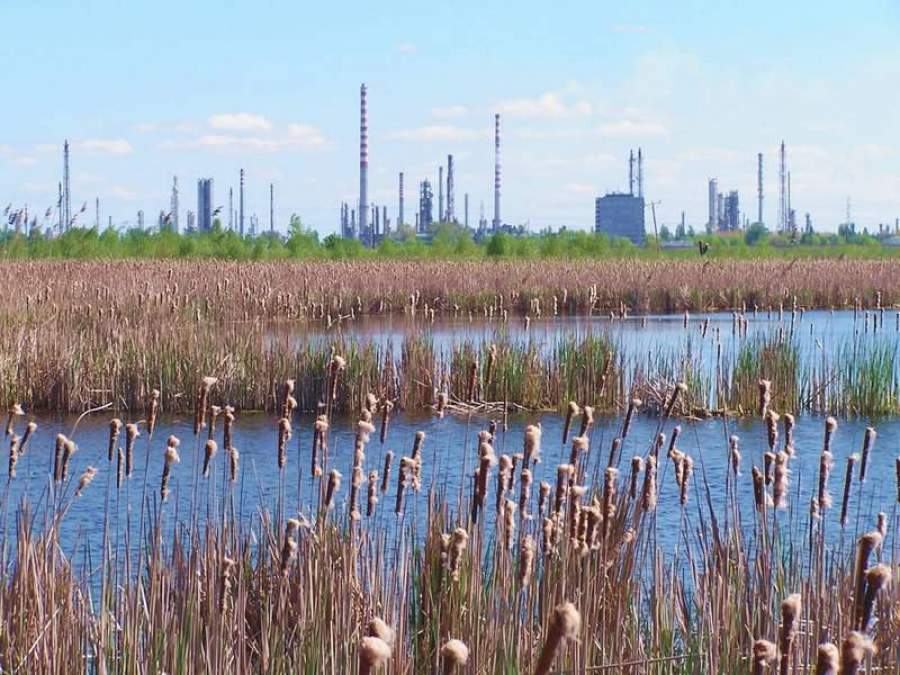 Diversidade e a inclus&atilde;o no setor de seguros &eacute; o tema do calend&aacute;rio 2020 da CNseg