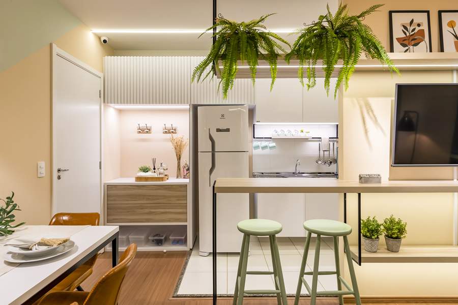 Imagem: Divulga&ccedil;&atilde;o