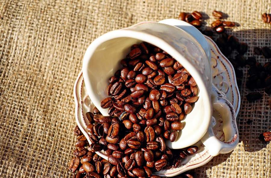 Café consumido com moderação promove diversos benefícios à saúde