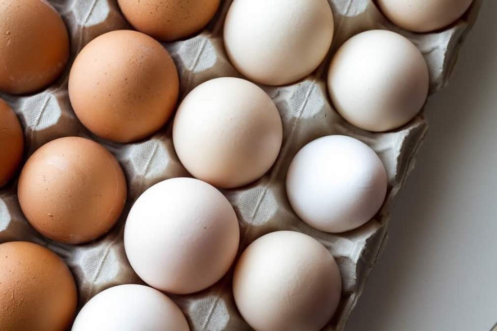 O consumo de ovos associado a uma alimentação equilibrada faz parte da prevenção e melhora da qualidade de vida