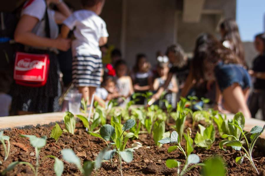 Crianças aprendem a plantar na horta - Foto - Ana Lídia Moraes