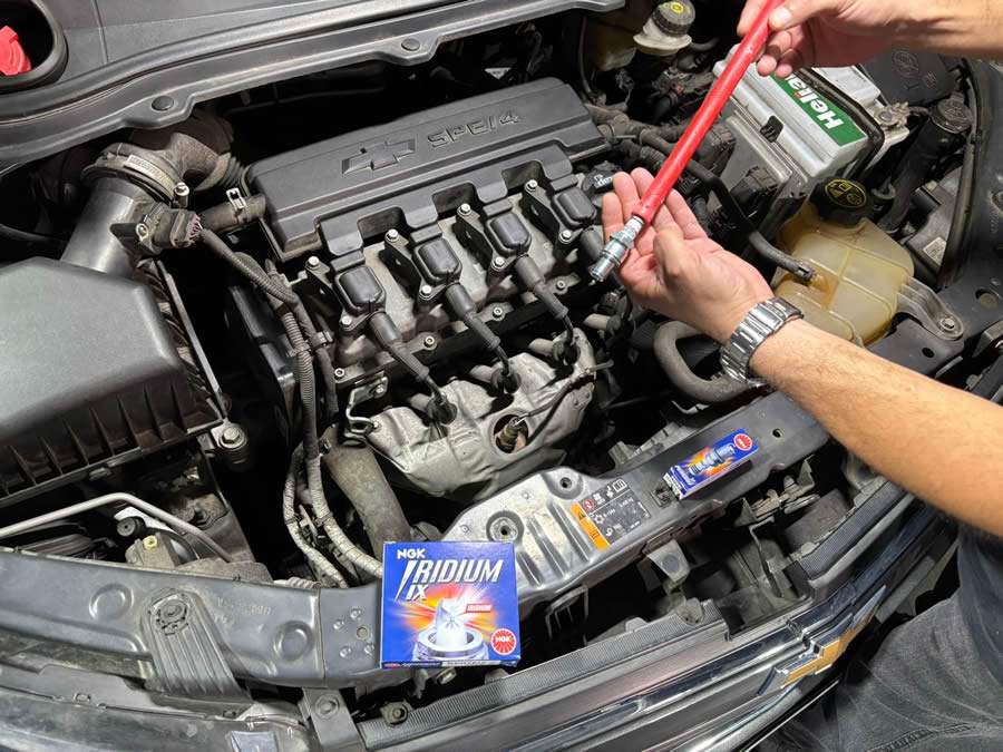 Cr&eacute;dito: Divulga&ccedil;&atilde;o