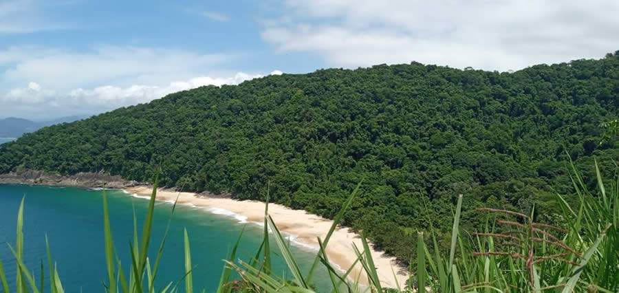 Praia da Ponta Aguda