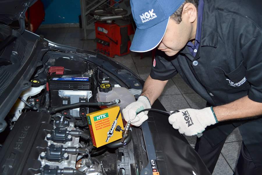 Divulga&ccedil;&atilde;o