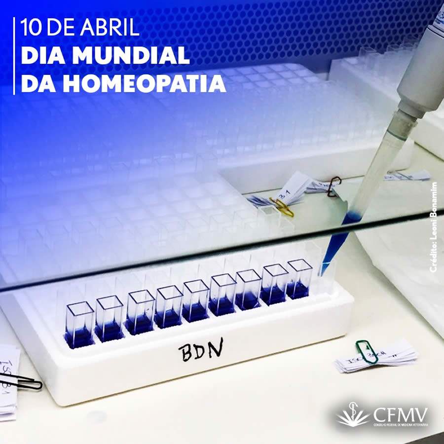 A import&acirc;ncia do tratamento homeop&aacute;tico em animais