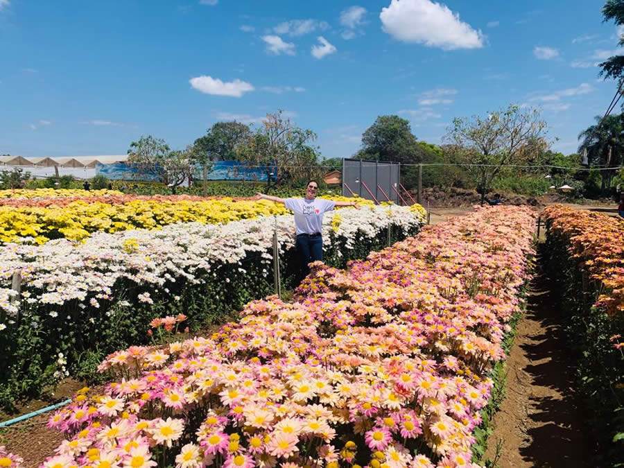 Visite Holambra: A Cidade das Flores