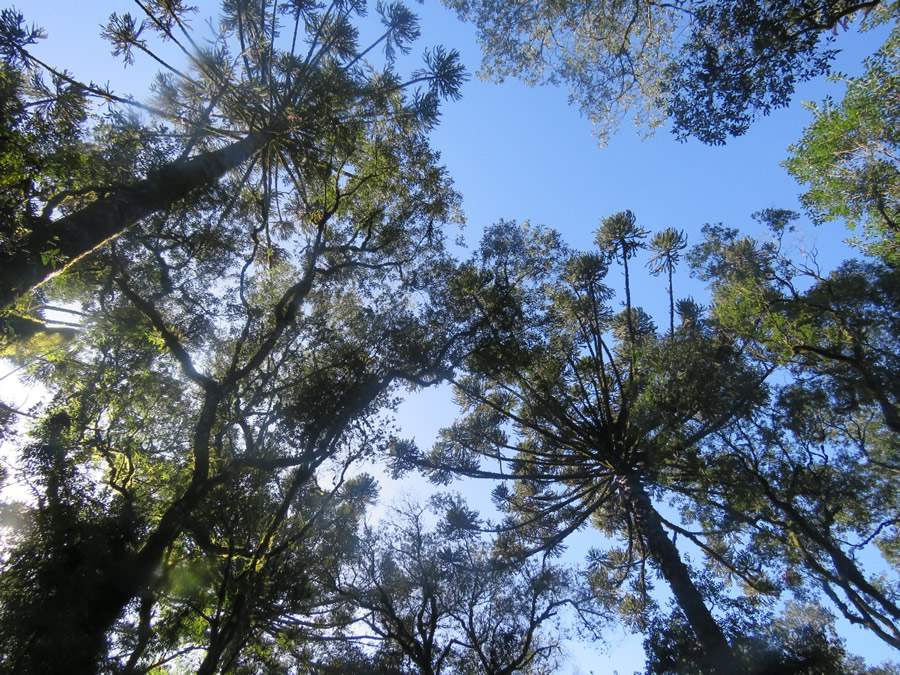 Fotos: Divulga&ccedil;&atilde;o